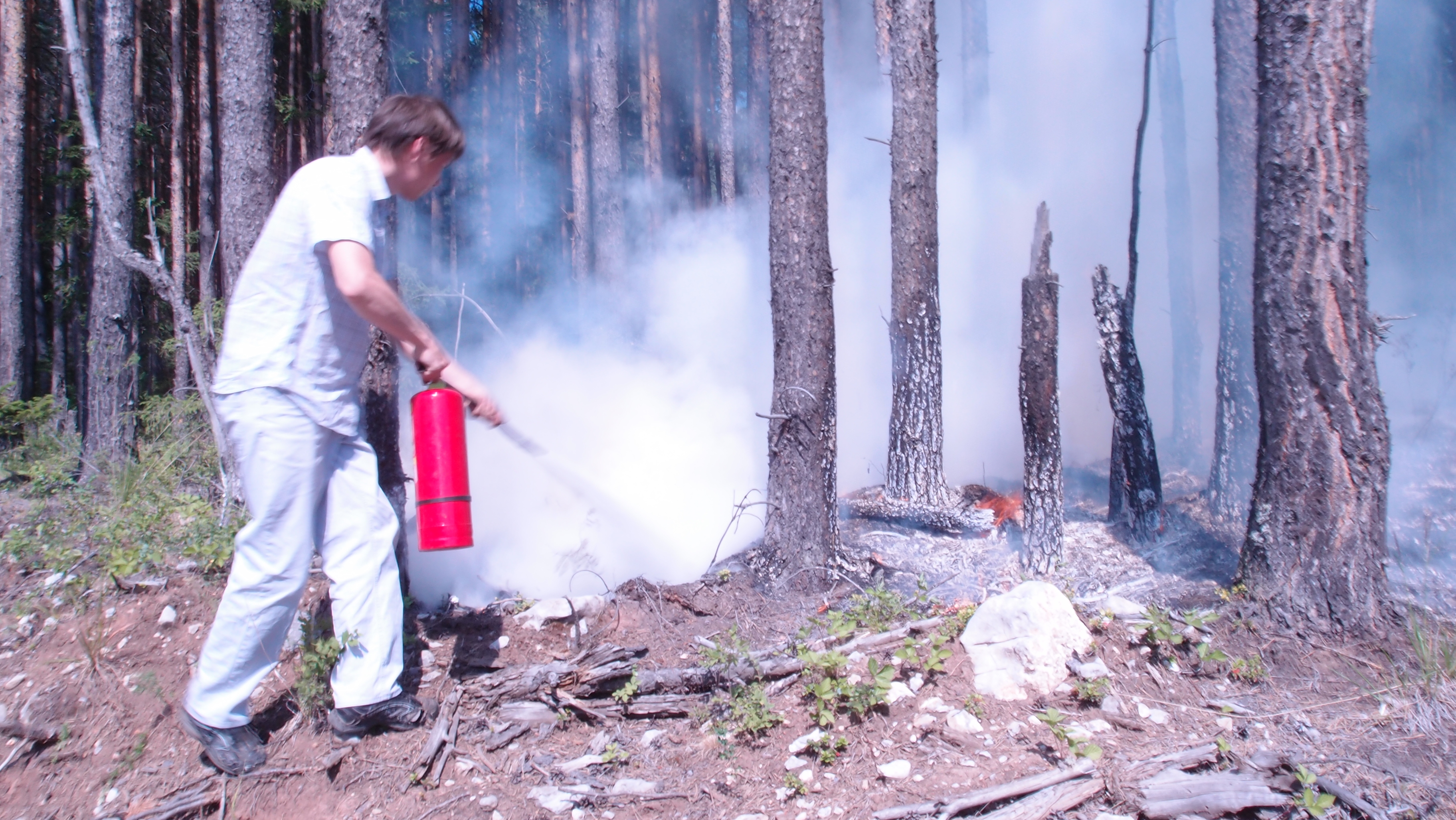 Тушение лесного пожара порошковым огнетушителем